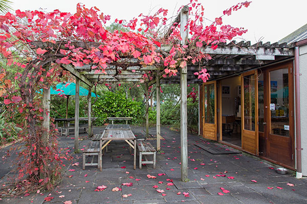 Cellar Door courtyard in Autumn colours